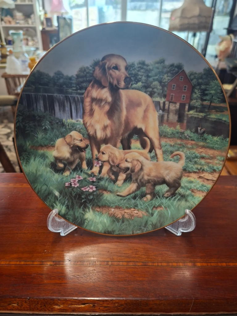 American Company  "The Hamiltion Collection"
Produced these Limited Edition Classic Sporting Dogs Plates 1989. Designed by Robert Christie. Measures 8" Excellent condition. Each comes with original box and certificate. €15 per plate.