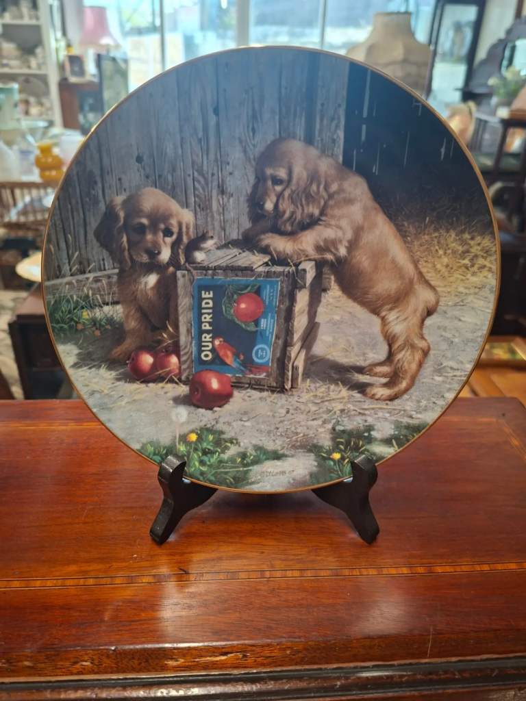 American Company  "The Hamiltion Collection"
Produced these Limited Edition Classic Sporting Dogs Plates 1989. Designed by Robert Christie. Measures 8" Excellent condition. Each comes with original box and certificate. €15 per plate.